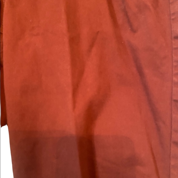 Chico’s Platinum Rust Colored Jeggings - Picture 4 of 15